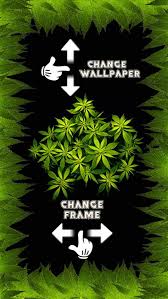 Marijuana wallpaper weed wallpaper screen wallpaper wallpaper backgrounds iphone wallpaper wallpapers lock screen picture weed drug weed plants. Weed Wallpapers Iphone Kolpaper Awesome Free Hd Wallpapers