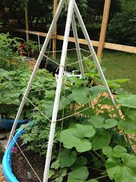 Maybe you would like to learn more about one of these? Gaia Gardening