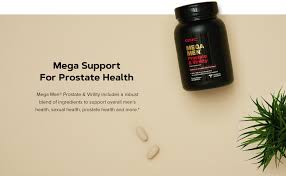 Amazon Com Gnc Mega Men Prostate And Virility 90 Caplets Supports Sexual Health Health Personal Care