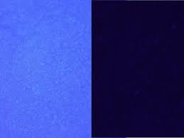 Image result for French Blue 1983 Hussmann