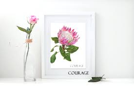 Perfect Protea Prints Protea Flower Victorian Flowers Botanical Prints