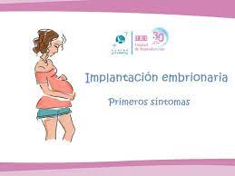Embarazo Tras Reproduccion Asistida Cuales Son Los Primeros Sintomas