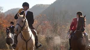 Ольга куриленко, хосе гарсия, тони люн и др. The Fox The Hound A Bottle Of Port Punch