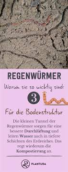 Pin Auf Natur