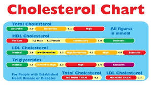 total cholesterol levels be too low you must check its