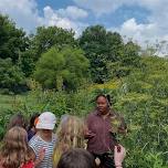 Intergenerational Wild Food Walk + Kids Free Play...