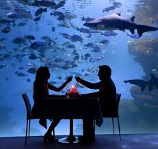 So take a break from the coffee shops and ice cream parlors and check out the following creative date ideas. 7 Best Places To Go On Your First Date Staying Away From Banality