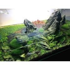 There are many aquascaping styles in our hobby today. Akvaristan Akvaryum On Twitter Akvaristan Aquarium Akvaryum Aquarien Update Iwagumi Aquascape 90p Ada Hcc Rotala Riccia Ludwigia Wat Http T Co Xnurykqp7z