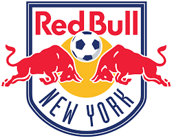Image result for bull of new york