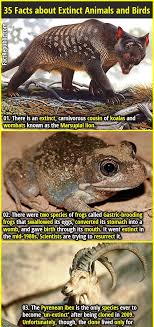35 Interesting Facts About Extinct Animals And Birds Fact Republic Bird Facts Extinct Animals Animal Facts