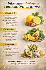 Las vitaminas clave para una mejor circulación en las piernas. Mejorar la  circulación en las piernas es clave para evitar pesadez, hinchazón y fatiga  diaria, y muchas veces la solución empieza en