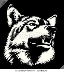 Generally these are fairly short and thin when compared to other animals such as cats. Black And White Linear Paint Draw Wolf Illustration Art Black And White Linear Paint Draw Wolf Illustration Canstock