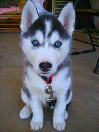 Check spelling or type a new query. Pin On Wattpad Image