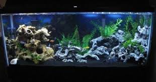 Awkatik S Freshwater Tanks Details And Photos Photo 16235 Aquarium Sand Fresh Water Fish Tank Fish Tank Decorations