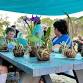 10/30 Kokedama- Moss Ball Bonsai event in Cortez, FL