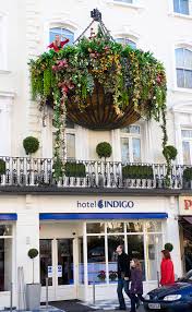 What's different with this one is that i edited it in aperture which really is a great program! World S Largest Hanging Flower Basket Drake Algar Flowers Blog