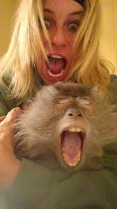 Usually Active/not so active-05