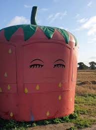 The stall is open today! We are currently operating 7 days a week 9-5pm  Find all the usual stock today