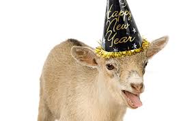 Image result for GOAT