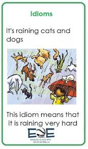 This One Is About The Idiom It S Raining Cats And Dogs
