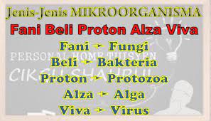 Mikroorganisma hanya dapat dilihat dengan menggunakan mikroskop. Sains Kertas 2 Upsr Topik Mikroorganisma Cmn Academy Online Learning Platform