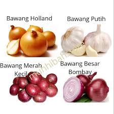 Dengan pertimbangan dari bawang putih, maka ayah ayah bawang putih menikah dengan ibu bawang merah. Bawang Merah Bawang Putih Bawang Holland Bawang Besar Bombay Shopee Malaysia