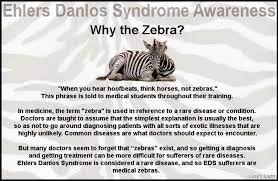 Disability For Ehlers Danlos Syndrome Memoirs Of A Jewminicana