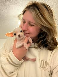 What is the best way to bathe a dog with a collapsed trachea and enlarged  heart at home?