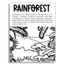Discover practical worksheets, captivating games, lesson plans, science projects, & more! Rainforest Coloring Worksheets Teaching Resources Tpt