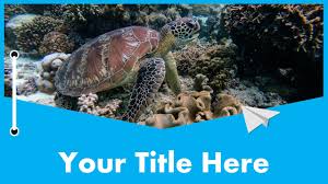 Coral reefs provide a protective barrier around. Marine Conservation Free Google Slides Themes And Powerpoint Template Myfreeslides