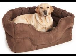 Product title dog bed mat comfortable fleece pet dog crate carpet. Dog Beds Dog Beds Australia Dog Beds Argos Dog Beds At Walmart Argos Australia Beds Dog Walmart Rectangular Dog Bed Waterproof Dog Bed Dog Bed