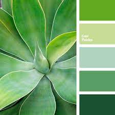 It is the color of springtime if all begin to live. Color Palette 3836 Green Colour Palette Color Palette Color Palette Bright