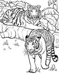 You can print or color them online at getdrawings.com for absolutely 476x333 elk coloring page hunting coloring pages elk coloring pictures. Two Tigers Ready For Hunting Coloring Page Download Print Online Coloring Pages For Free Color Nimbus