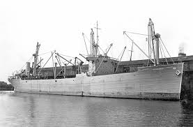 Image result for Bell Grey 1995 Fleet