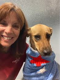 THANK YOU ❤️🤍💙 To all of the incredible volunteers that cuddled the pets  at HSTB last night! We, and the animals, are so appreciative! #WeAreHSTB