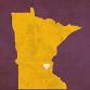 2-Day Concussion Rehabilitation Course Minnetonka, MN event image