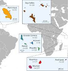 These are asia, africa, and australia to the north, west, and east respectively. Location Of The South West Indian Ocean Islands Where The Majority Of Download Scientific Diagram