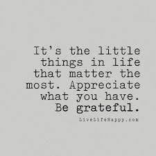 See more ideas about quotes, life quotes, appreciate life quotes. It S The Little Things In Life That Matter The Most Appreciate What You Have Be Grateful Appreciate Life Quotes Life Quotes To Live By Matter Quotes