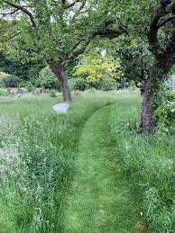 Mown Path Through The Orchard Plants Tree Paths