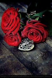 Starrylites Beautiful Flowers Photography Love Rose Flowers