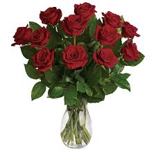 24 gambar bunga rose mawar cantik cocok untuk wallpaper. Bunga Mawar Merah Vas Gambar Gratis Di Pixabay