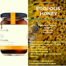 Hasil gambar untuk propolis karawang