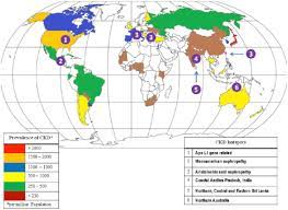 Genetic And Environmental Risk Factors For Chronic Kidney Disease Kidney International Supplements