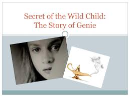 The Impact that Environment has