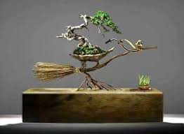 Larger pots are good for. Some Of These Unique Bonsai And Pots May Be Called Stange Odd Or Even Unaccaeptable By Traditional Standards Others Are Exquisi Bonsai Bonsai Art Jade Bonsai