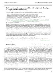 Image result for Phragmanthera crassicaulis