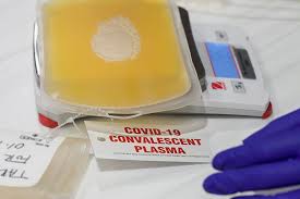 Image result for Plasma Transfusion