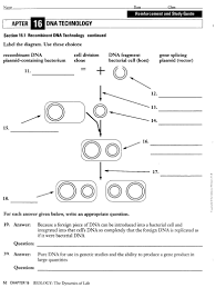 Restriction Enzyme Worksheet Results For Yahoo Image Search Results Teaching Paragraphs Teaching Paragraph Writing Super Teacher Worksheets