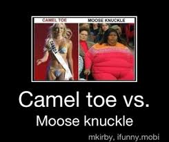 A moose knuckle (sometimes called moose knuckles) is the male equivalent to the female camel toe. Camel Toe Vs Moose Knuckle Camel Toe Vs Moose Knuckle Ifunny