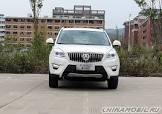 WEIWANG-S50